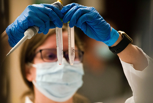 Scientist wearing blue latex gloves examining test tubes